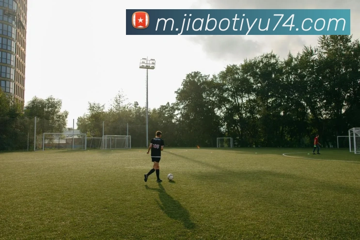 佳博体育app全站App